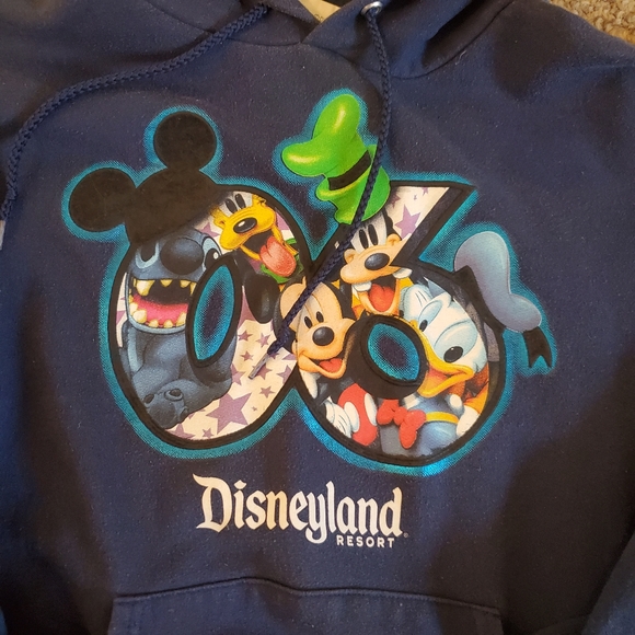Vintage 2006 Disneyland resort hoodie - Picture 3 of 3